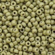 Miyuki seed beads 8/0 - Duracoat opaque sea cactus 8-4474